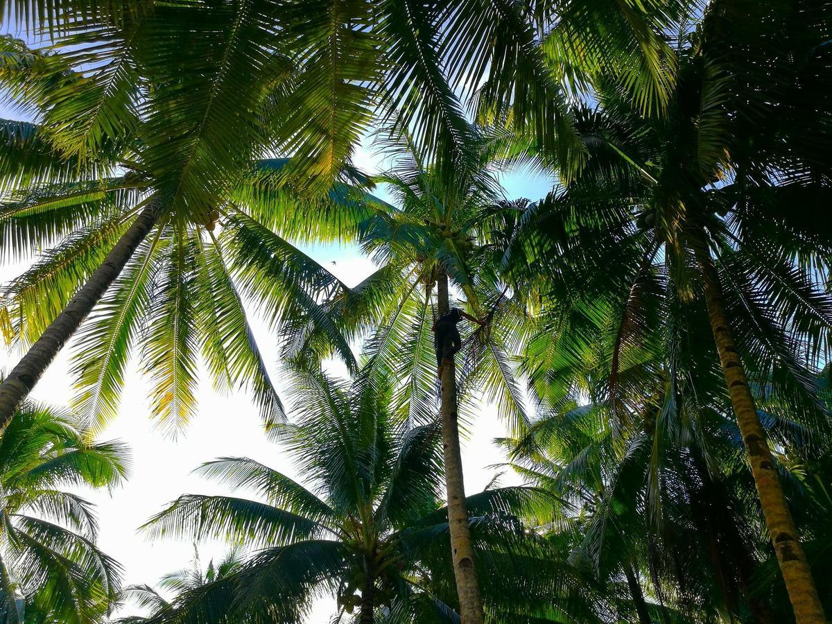 Апартаменти Siargao Residency Union  Екстер'єр фото
